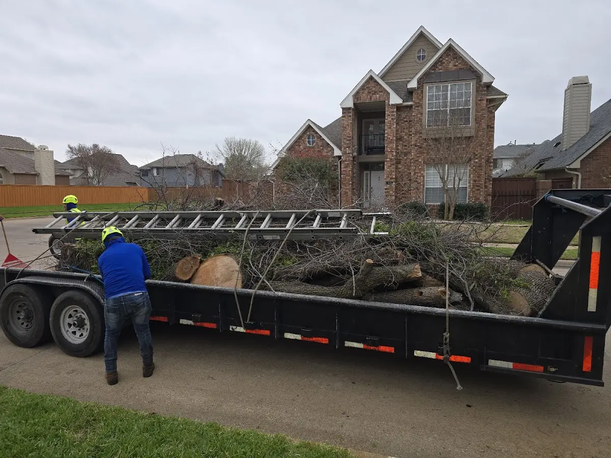 Expert Tree Removal with proper safety equipment in East Bernard